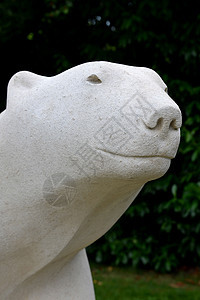 白啤酒艺术品动物雕塑艺术石头白色背景图片
