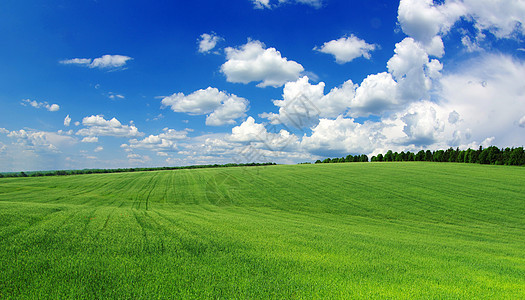 绿绿地天空草原地平线阳光农场晴天场地生长国家天堂图片