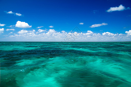 热带海洋椰子天空海岸线风景海浪太阳假期棕榈场景气候图片