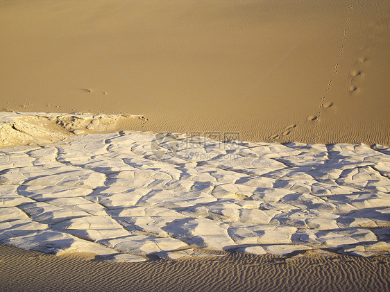 被割裂的地球涟漪干旱沙丘裂缝泥滩沙漠脚印图片