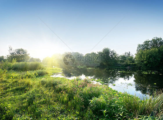 清晨阳光明媚的河水图片
