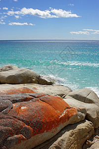火焰湾 塔斯马尼亚 澳大利亚岩石红色景点旅行海岸海洋海湾风景假期海滩图片