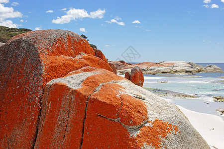 火焰湾 塔斯马尼亚 澳大利亚海滩岩石旅游海洋风景海岸旅行海湾景点名胜图片