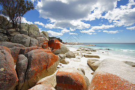 火焰湾 塔斯马尼亚 澳大利亚红色假期旅行景点风景旅游海湾海洋海滩海岸图片