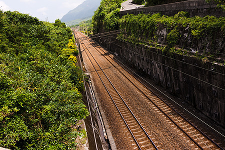 铁路岩石小路过境火车场地森林运输绿色旅行草地图片