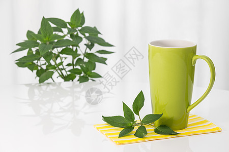 绿色茶杯和新鲜薄荷图片