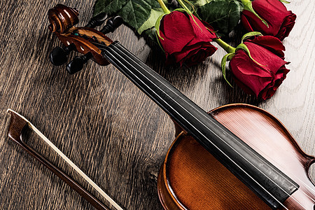 Violin 玫瑰和音乐书籍笔记纪念日作品仪式艺术歌曲周年细绳乐队手臂图片