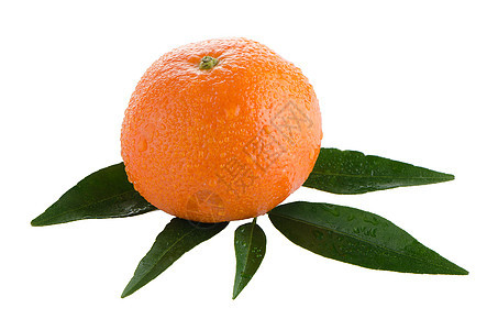 新鲜橙红文叶子果皮团体热带饮食甜点橙子水果皮肤果汁图片
