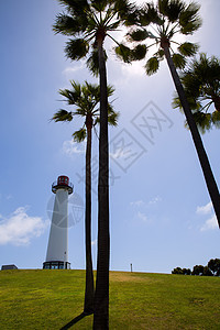 加利福尼亚长滩海岸公园灯塔公司海洋假期晴天海岸公园天堂支撑棕榈海滩海岸线图片