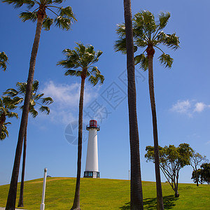 加利福尼亚长滩海岸公园灯塔公司城市海岸公园旅行海景天堂地标太阳海滩支撑图片