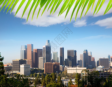 洛杉矶市中心 加利福尼亚州天际线商业地标天空棕榈摩天大楼景观高楼城市建筑物办公室图片