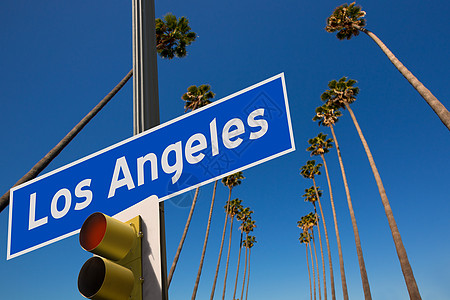 洛杉矶棕榈树在一排公路上标牌照相机图片