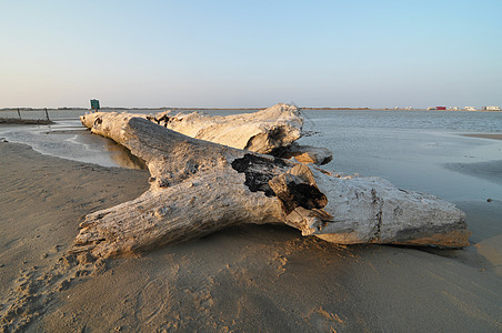 在海边的木头在camargue历史旅行海岸海洋假期运动日落天空建筑学地标图片