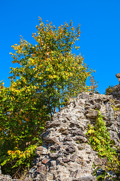 旧城堡墙壁旅游地标石头乡村季节叶子黄色环境绿色旅行图片