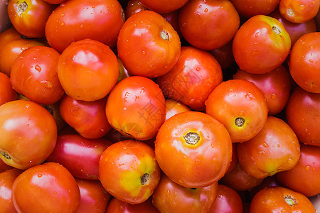 红番茄背景背景图片