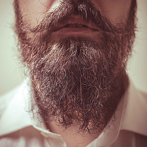 长胡子和胡子贴近白色成人男人胡须生长潮人男性艺术衬衫黑色图片