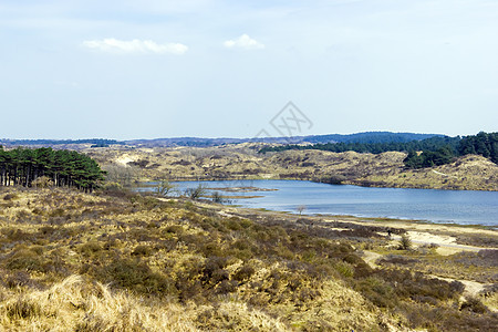 荷兰国家公园湖蓝色森林天气白色荒野风景公园娱乐天空反射图片