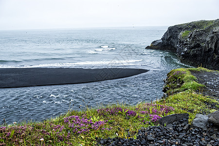 冰岛南海岸的黑火山沙子海岸土地情调海浪植物海洋支撑风景异国火山图片