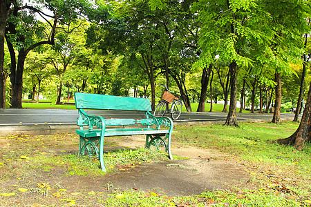 公园中的法官绿色花园场景木头叶子长椅自行车座位季节植物图片