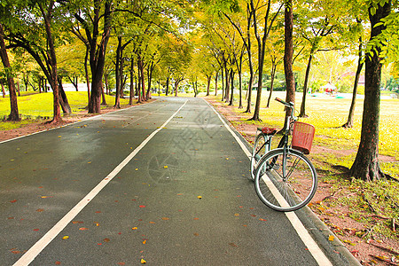 公园路上的自行车图片