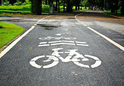 公园的自行车巷小路运动白色车道城市环境交通绿色运输花园图片