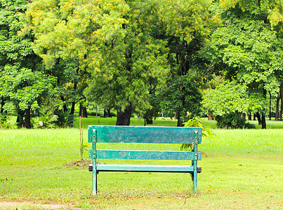 公园中的法官场景座位植物木头花园叶子长椅季节绿色图片