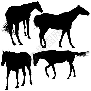 马马轮椅动物黑色哺乳动物农场绘画家畜收藏鬃毛剪贴插图图片