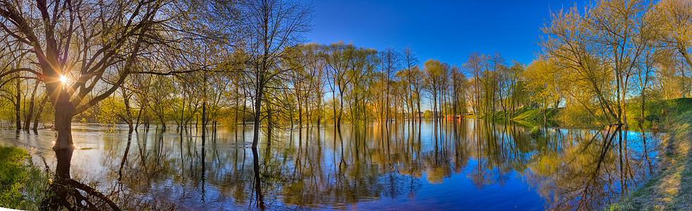 黎明时江中树木的反射天空森林池塘全景环境季节衬套反思土地蓝色图片