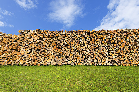 蓝天上的壁木坑树干季节林业能量木材植物柴堆燃料壁炉活力图片