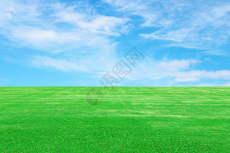 带天空的绿草地土地环境地平线植物生长蓝色风景国家场景场地图片