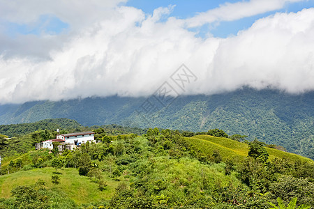 Hualien乡边场地植物牧歌风景植物学天堂丘陵草原天空农村图片