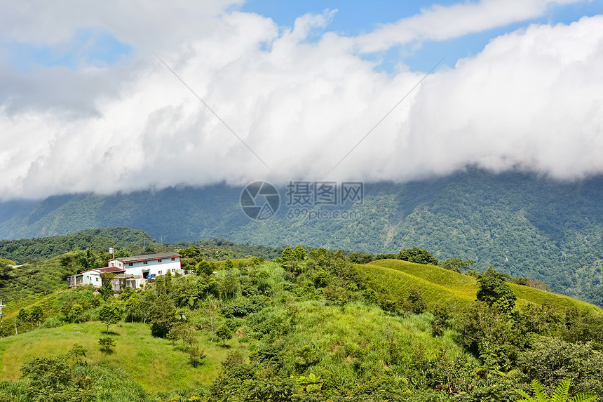 Hualien乡边场地植物牧歌风景植物学天堂丘陵草原天空农村图片