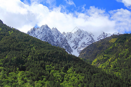 高加索山脉 Dombai森林荒野全景石头悬崖首脑爬坡顶峰木头风景图片