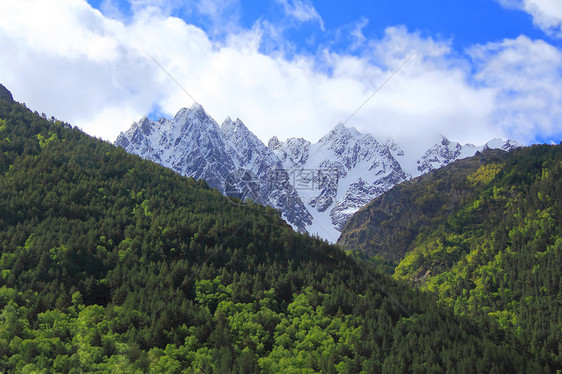 高加索山脉 Dombai森林荒野全景石头悬崖首脑爬坡顶峰木头风景图片