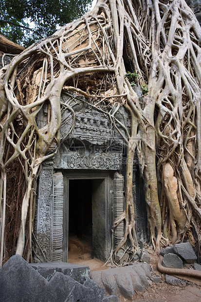塔普伦寺  吴哥窟  柬埔寨建筑学高棉语废墟寺庙生长旅行地标图片