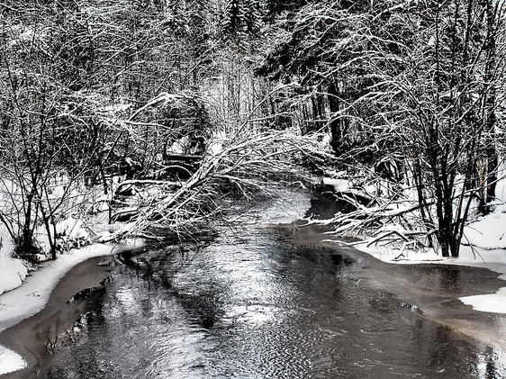 冬季河水雪树荒野木头国家背景农村倒影田园河岸反射图片