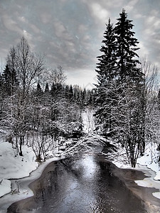 冬季河水荒野倒影背景国家木头风景雪树风光景观农村图片