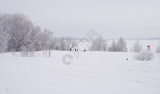 冬季风景雪景季节性国家场地季节树木天气场景孤独天空图片