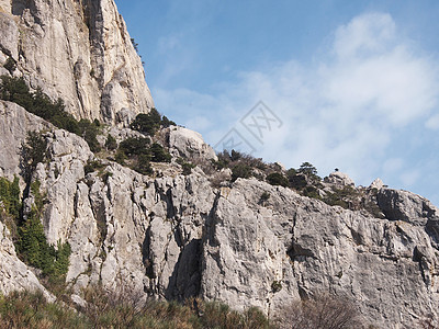 树木 天空和岩石蓝色悬崖海岸线石头针叶场景野生动物美丽爬坡太阳图片