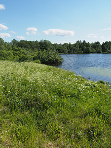夏天的湖边射线蓝色正方形小路支撑森林岩石石头松树浅滩图片