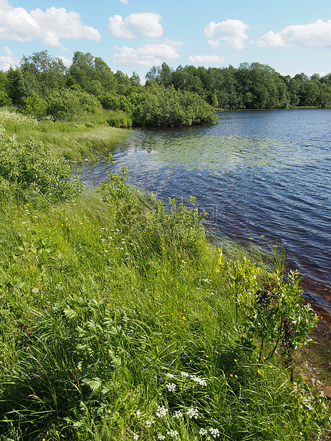 夏天的湖边石头蓝色松树浅滩季节波纹支撑小路正方形斑点图片