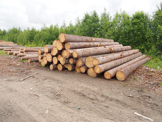 路上的木头资源营林环境木材卡车松树树桩森林贮存记录图片
