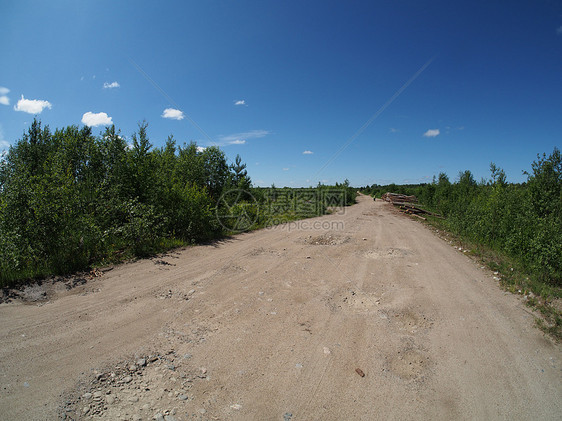 森林道路牧场草原乡村植物环境土地场地小路生态耕作图片