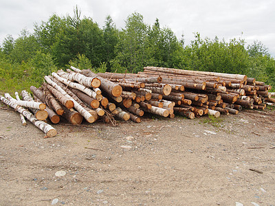 路上的木头环境针叶木桩记录贮存日志柴堆营林树桩卡车图片