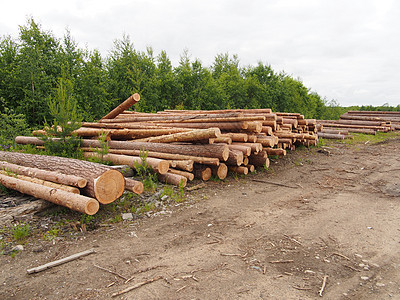 路上的木头卡车林业营林树干松树资源日志森林柴堆记录图片