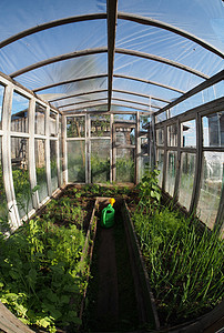 温室气体内部食物蔬菜植物园艺苗圃农场花园温室房子效应图片