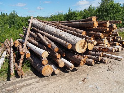 路上的木头贮存生态针叶木材树干破坏柴堆资源木桩记录图片