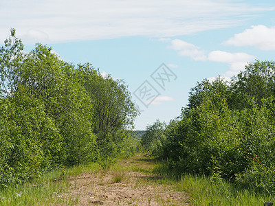 森林道路土地农业天空场景耕作孤独环境生态草地农村图片