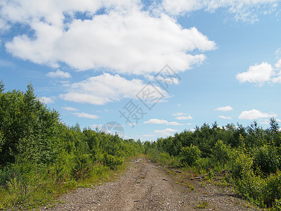 森林道路孤独土地全景天空耕作季节草原乡村牧场场地图片