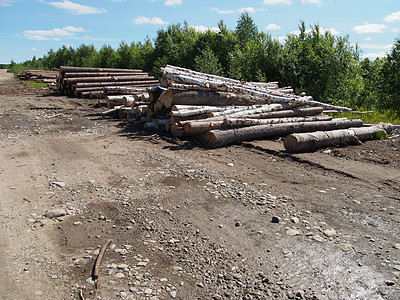 路上的木头记录贮存破坏日志木桩松树柴堆树桩生态卡车图片